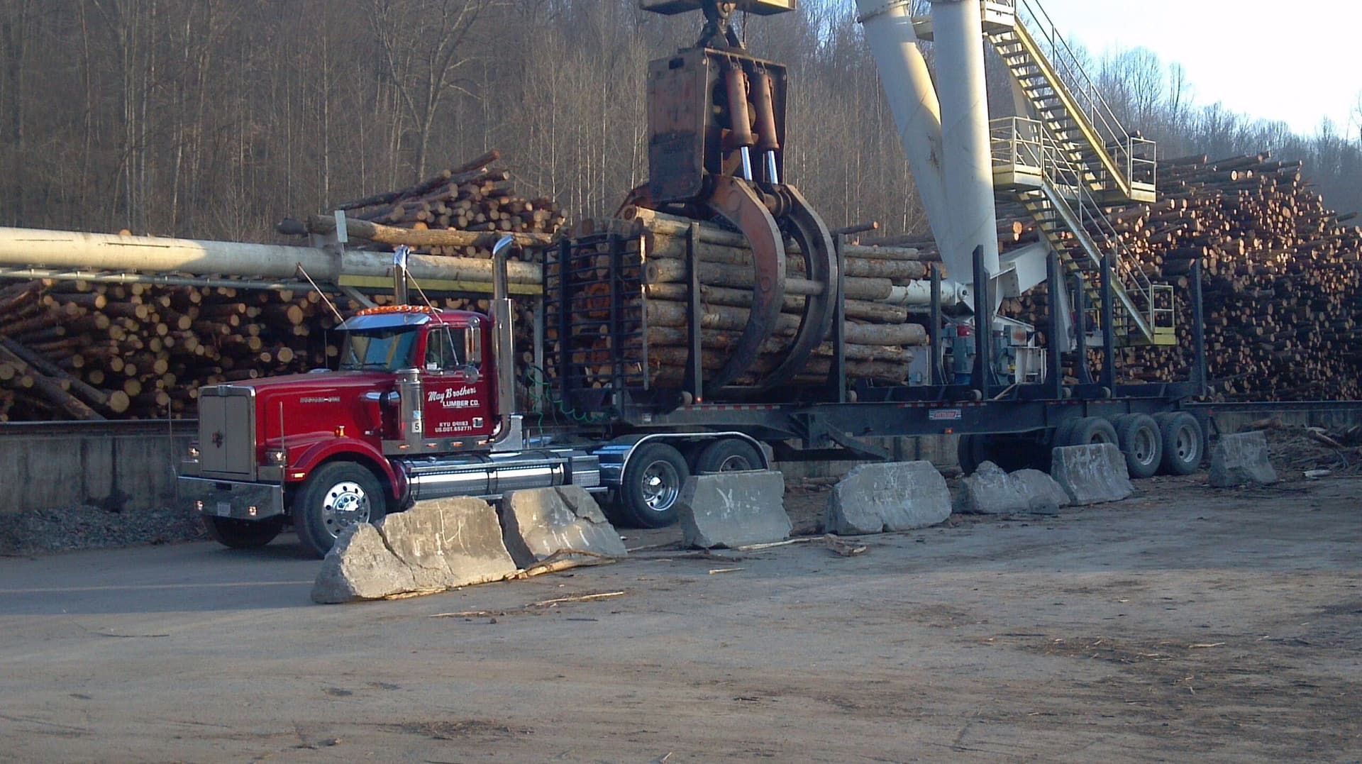 Forest Products