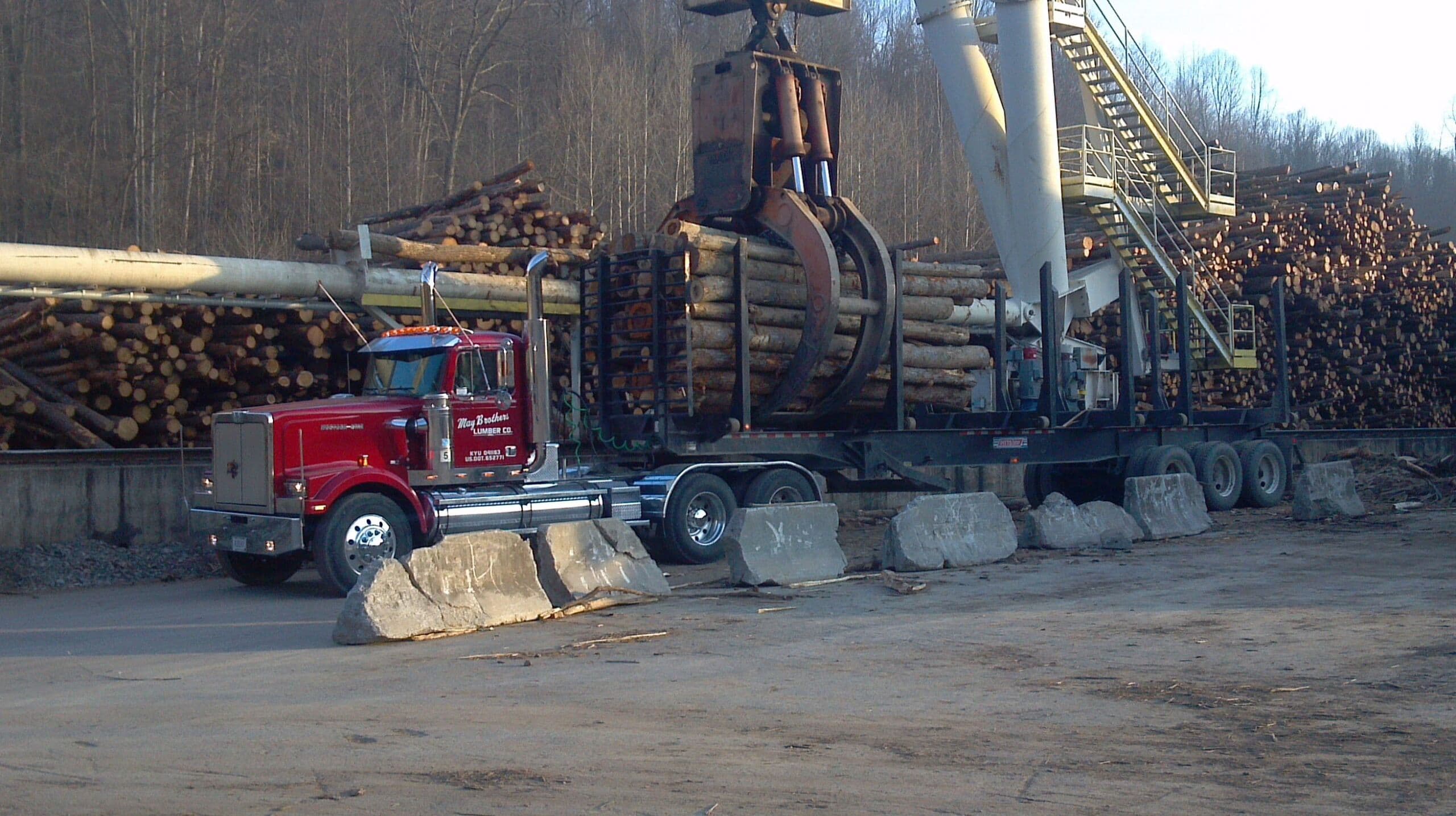 Forest Products