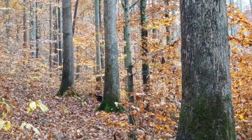 Resized_IMG_20221101_114633